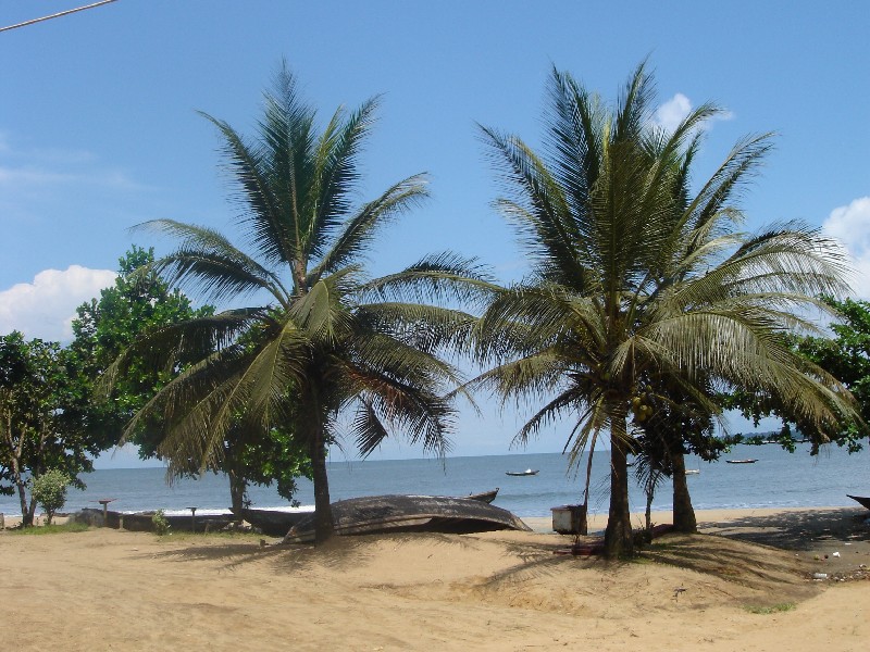 Kribi image